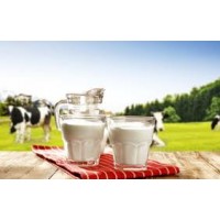 شیر تازه لبنیات سلامت دانشگاه فردوسی