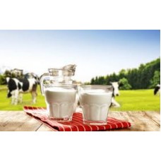 شیر تازه لبنیات سلامت دانشگاه فردوسی